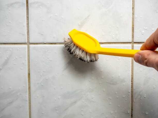 Best Mold Damage Repair  in Elba, AL
