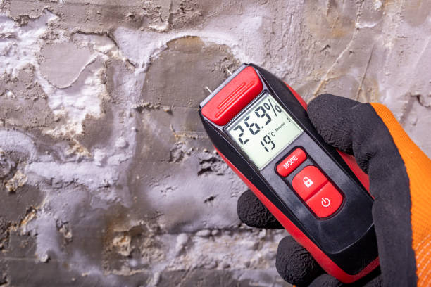 Best Mold Cleaning Services  in Elba, AL