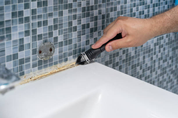 Best Local Mold Removal Service  in Elba, AL